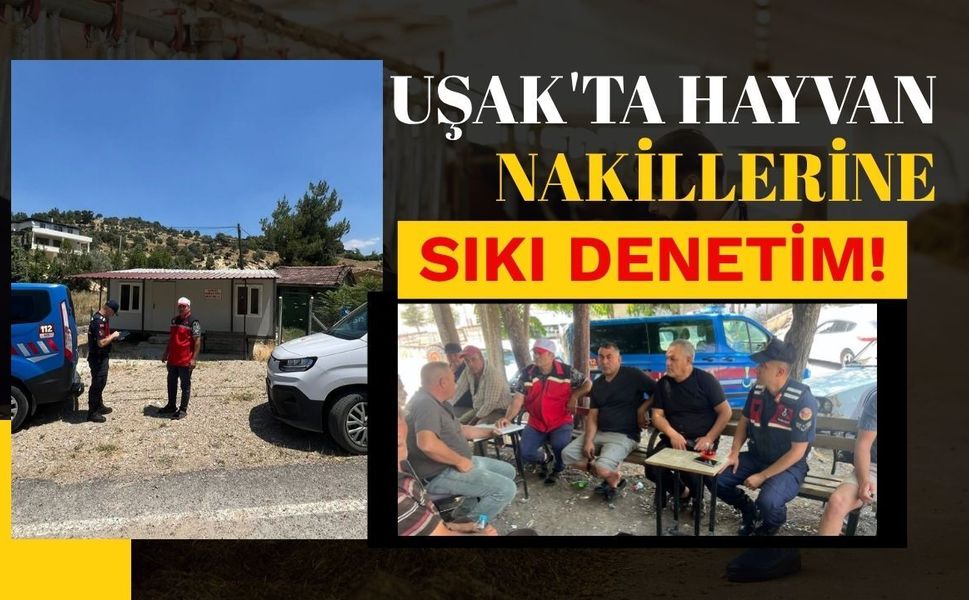 Uşak'ta Hayvan Nakillerine Sıkı Denetim! Kurallara Uymayanlara İdari İşlem