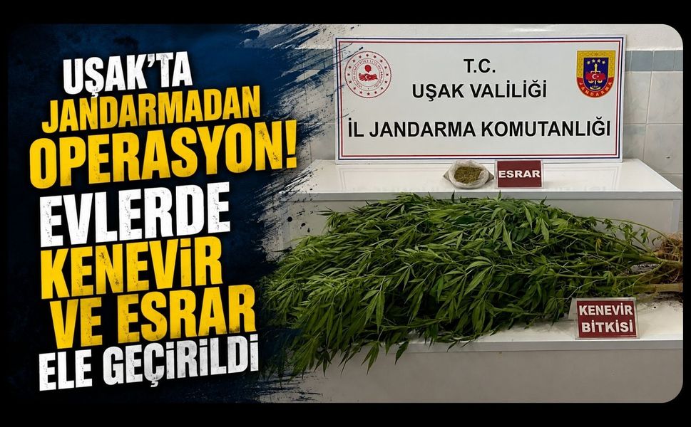 Uşak'ta Jandarmadan Operasyon! Evlerde Kenevir ve Esrar Ele Geçirildi
