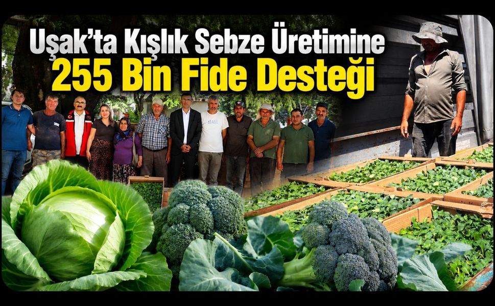 Uşak’ta Kışlık Sebze Üretimine 255 Bin Fide Desteği