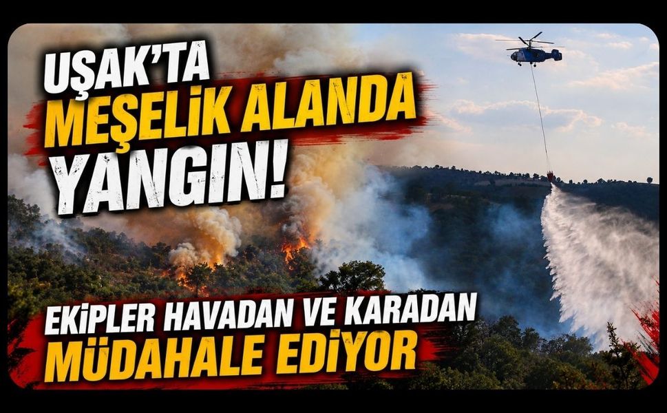 Uşak'ta Meşelik Alanda Yangın! Ekipler Havadan ve Karadan Müdahale Ediyor