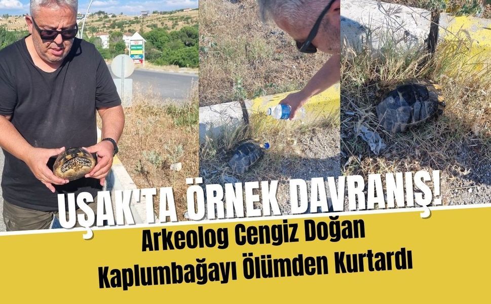 Uşak'ta Örnek Davranış! Arkeolog Cengiz Doğan Kaplumbağayı Ölümden Kurtardı