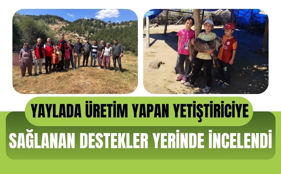 Yaylada Üretim Yapan Yetiştiriciye Sağlanan Destekler Yerinde İncelendi