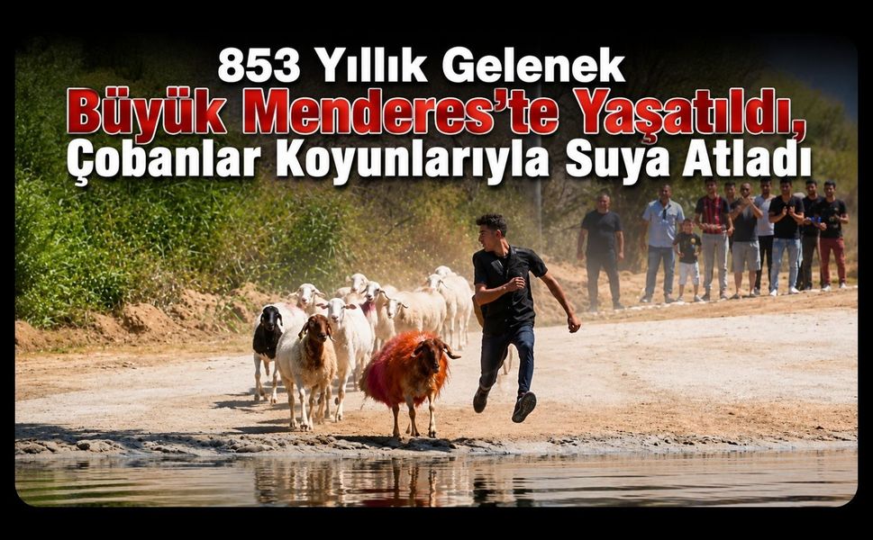 853 Yıllık Gelenek Büyük Menderes’te Yaşatıldı, Çobanlar Koyunlarıyla Suya Atladı