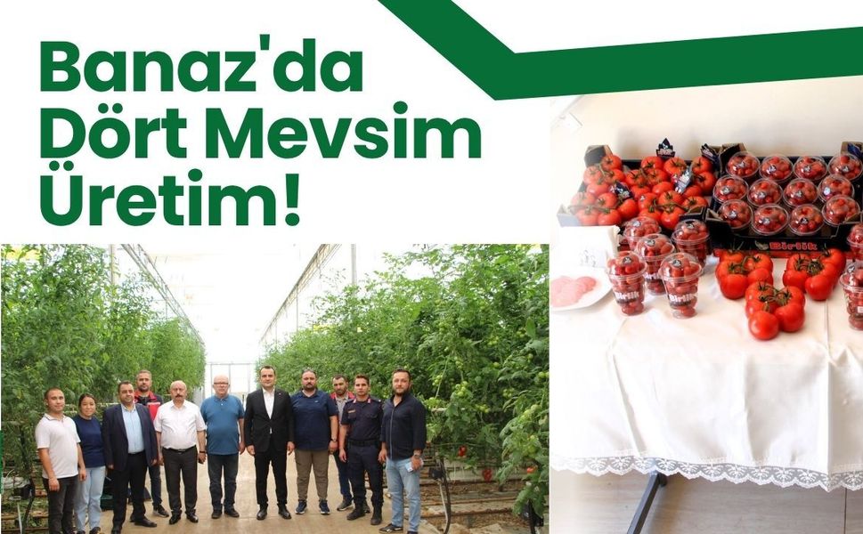 Banaz'da Dört Mevsim Üretim! Jeotermal Isıyla Yılda 12 Ay Sebze ve Meyve Yetiştiriliyor
