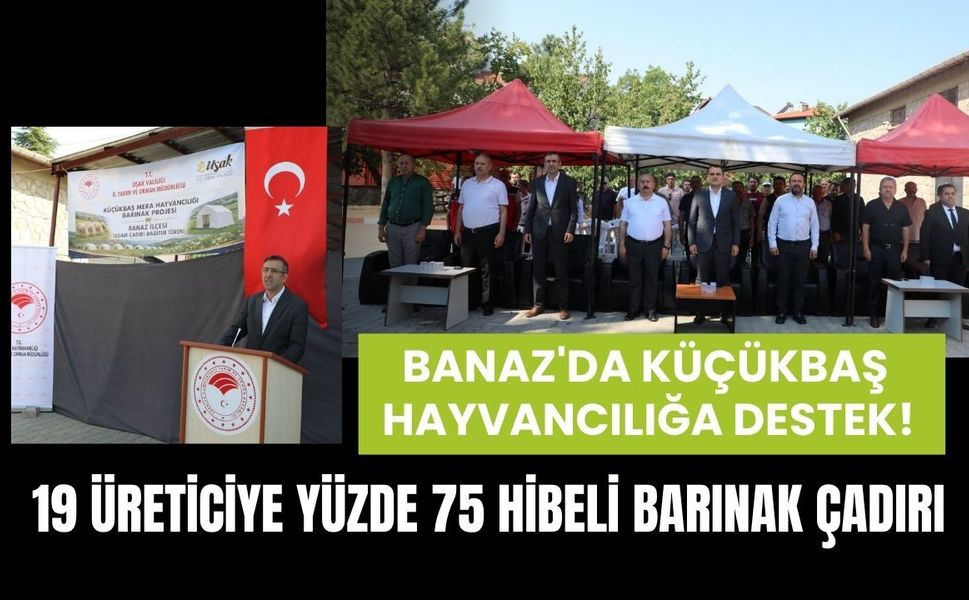Banaz'da Küçükbaş Hayvancılığa Destek! 19 Üreticiye Yüzde 75 Hibeli Barınak Çadırı