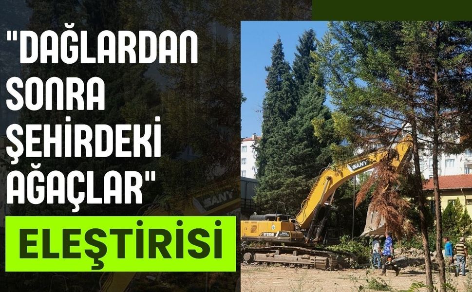 "Dağlardan Sonra Şehirdeki Ağaçlar" Eleştirisi