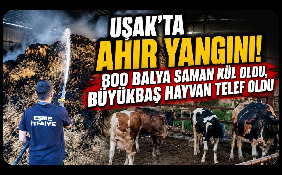 Uşak'ta Ahır Yangını! 800 Balya Saman Kül Oldu, Büyükbaş Hayvan Telef Oldu