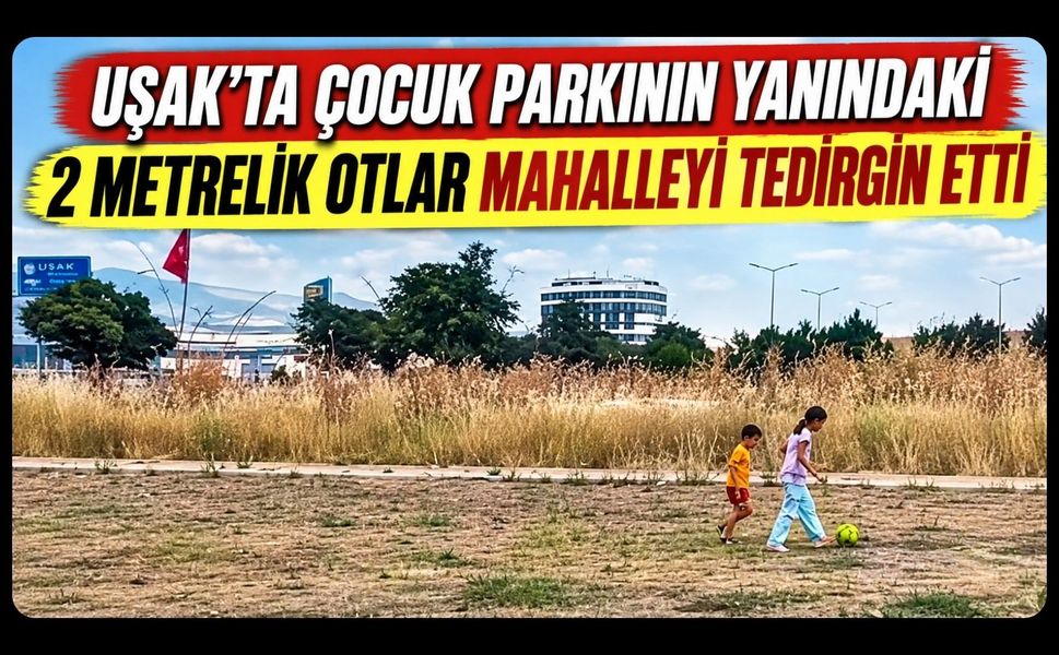 Uşak’ta Çocuk Parkının Yanındaki 2 Metrelik Otlar Mahalleliyi Tedirgin Etti
