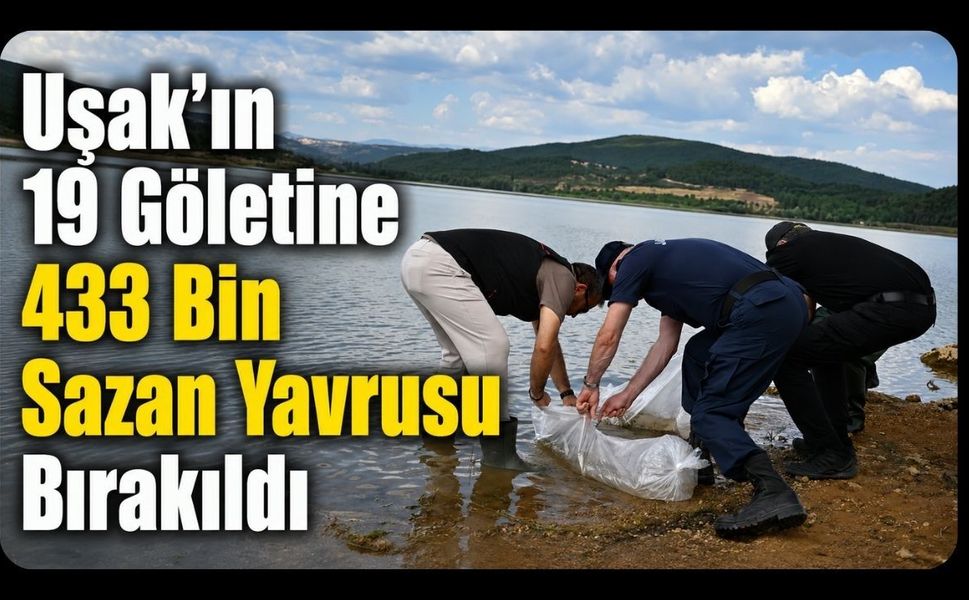 Uşak’ın 19 Göletine 433 Bin Sazan Yavrusu Bırakıldı
