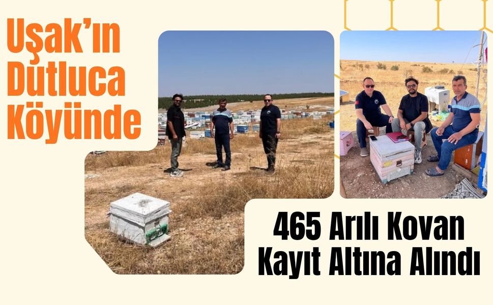 Uşak’ın Dutluca Köyünde 465 Arılı Kovan Kayıt Altına Alındı