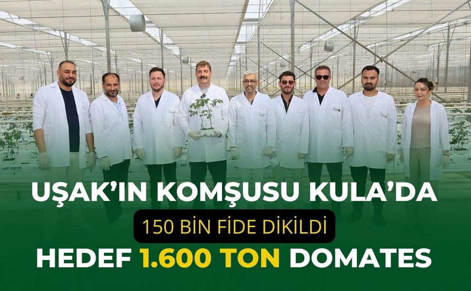 Uşak’ın Komşusu Kula’da 150 Bin Fide Dikildi, Hedef 1.600 Ton Domates
