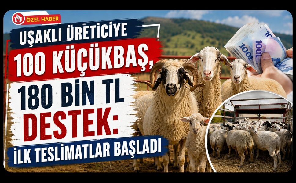 Uşaklı Üreticiye 100 Küçükbaş, 180 Bin TL Destek: İlk Teslimatlar Başladı