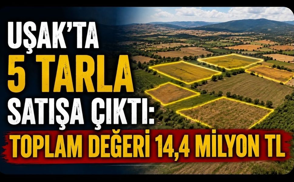 Uşak’ta 5 Tarla Satışa Çıktı: Toplam Değeri 14,4 Milyon TL