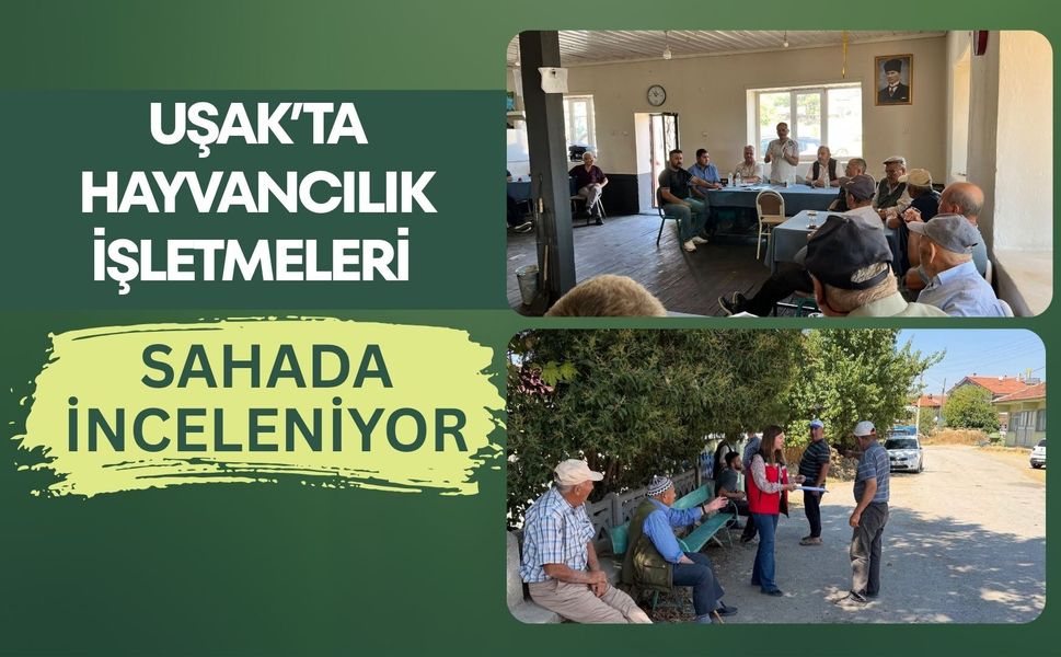 Uşak’ta Hayvancılık İşletmeleri Sahada İnceleniyor: Üreticinin Sorunları Yerinde Dinleniyor