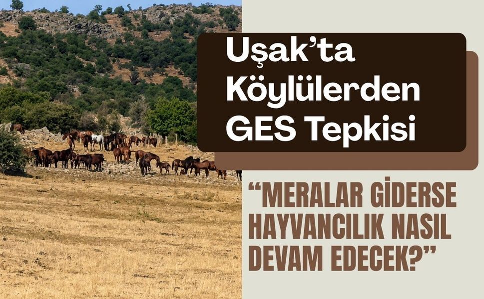 Uşak’ta Köylülerden GES Tepkisi: “Meralar Giderse Hayvancılık Nasıl Devam Edecek?”