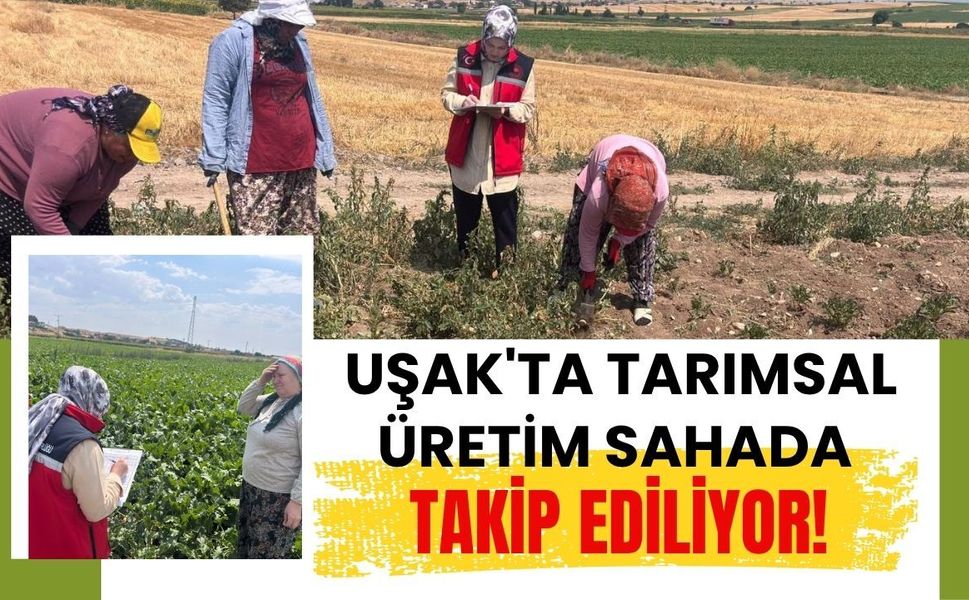 Uşak'ta Tarımsal Üretim Sahada Takip Ediliyor! Veriye Dayalı Planlama İçin Çalışmalar Sürüyor