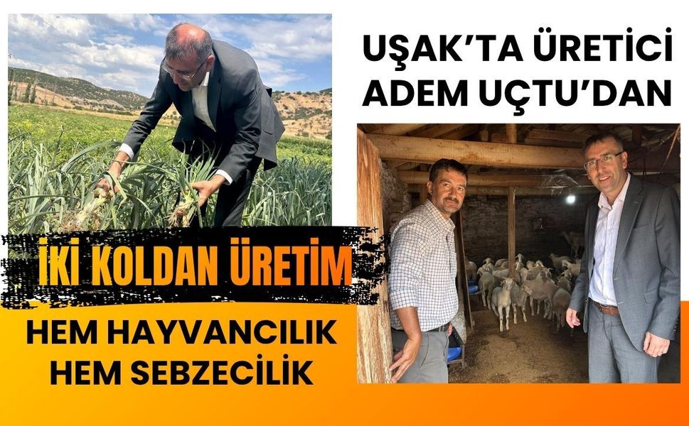 Uşak’ta Üretici Adem Uçtu’dan İki Koldan Üretim: Hem Hayvancılık Hem Sebzecilik