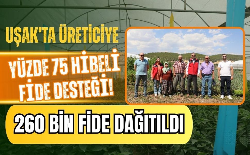 Uşak’ta Üreticiye Yüzde 75 Hibeli Fide Desteği! 260 Bin Fide Dağıtıldı
