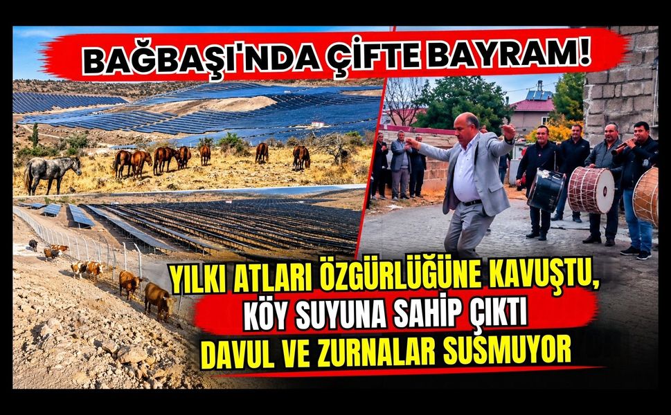 Bağbaşı'nda Çifte Bayram! Yılkı Atları Özgürlüğüne Kavuştu, Köy Suyuna Sahip Çıktı, Davul ve Zurnalar Susmuyor