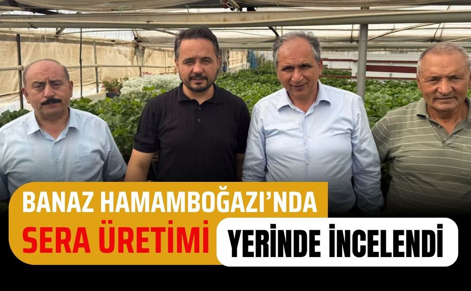 Banaz Hamamboğazı’nda Sera Üretimi Yerinde İncelendi