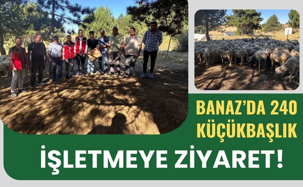 Banaz’da 240 Küçükbaşlık İşletmeye Ziyaret! Genç Üreticinin Hedefi Dikkat Çekti