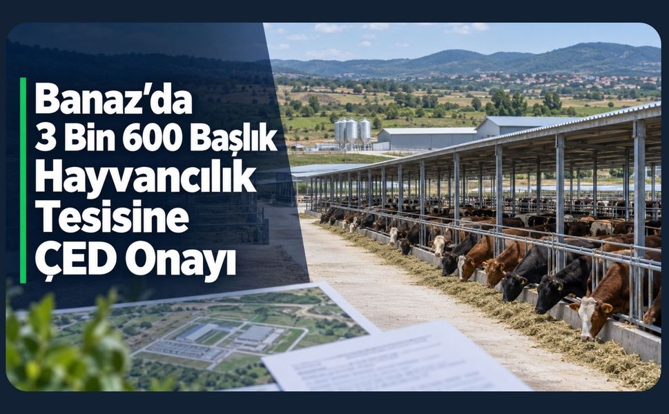 Banaz’da 3 Bin 600 Başlık Hayvancılık Tesisine ÇED Onayı