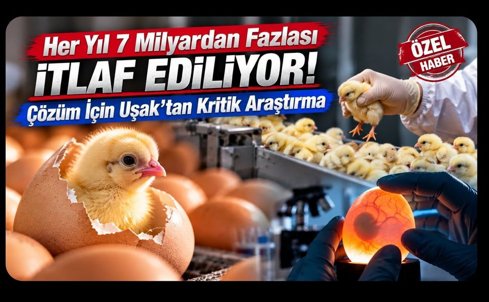 Her Yıl 7 Milyardan Fazlası İtlaf Ediliyor! Çözüm İçin Uşak’tan Kritik Araştırma