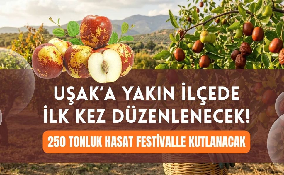 Uşak’a Yakın İlçede İlk Kez Düzenlenecek! 250 Tonluk Hasat Festivalle Kutlanacak