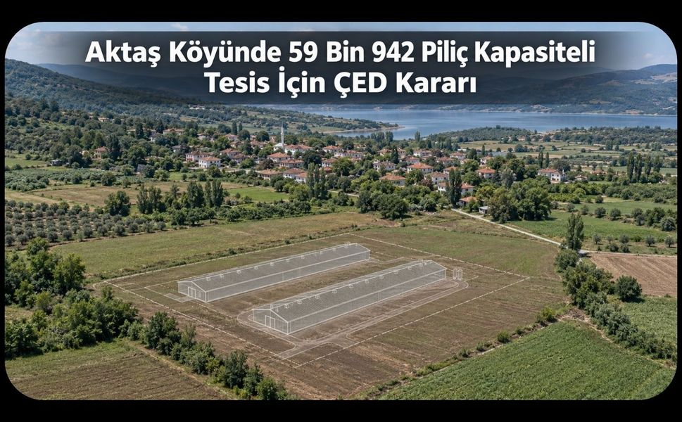 Uşak’ın Aktaş Köyünde 59 Bin 942 Piliç Kapasiteli Tesis İçin ÇED Kararı