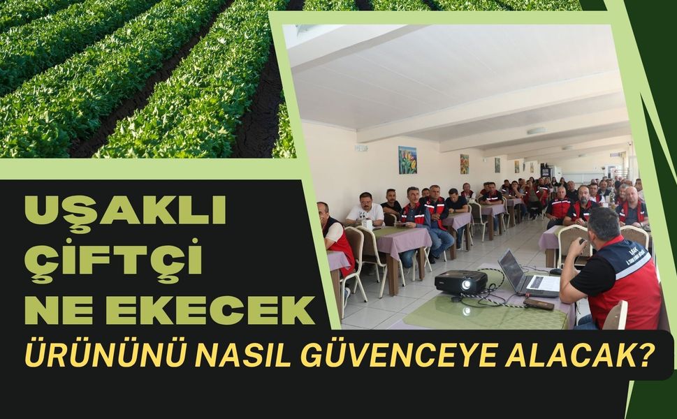 Uşaklı Çiftçi Ne Ekecek, Ürününü Nasıl Güvenceye Alacak?