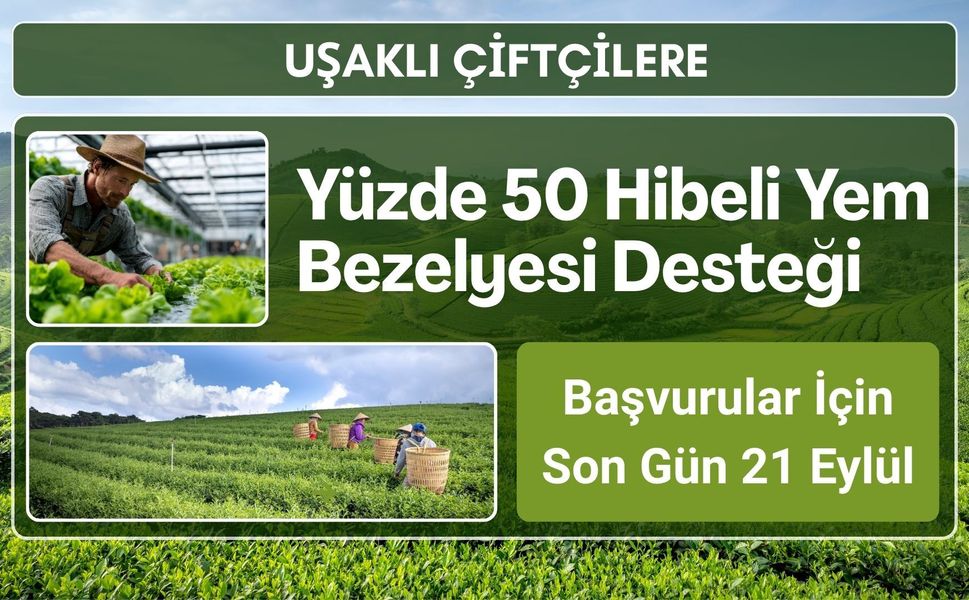 Uşaklı Çiftçilere Yüzde 50 Hibeli Yem Bezelyesi Desteği, Başvurular İçin Son Gün 21 Eylül