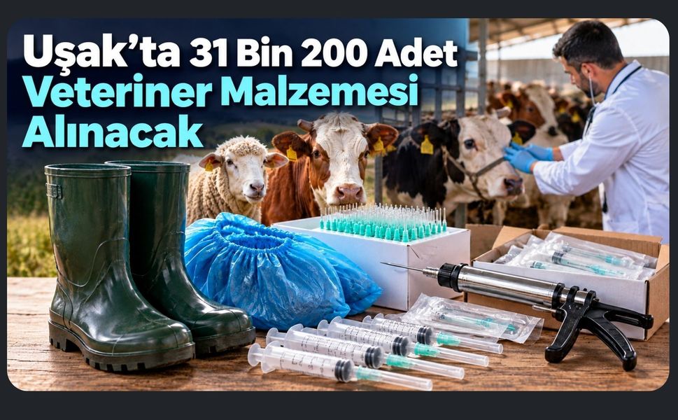 Uşak’ta 31 Bin 200 Adet Veteriner Malzemesi Alınacak