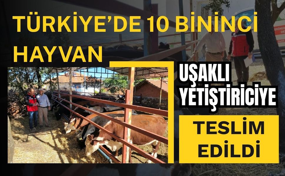 Türkiye’de 10 Bininci Hayvan Uşaklı Yetiştiriciye Teslim Edildi