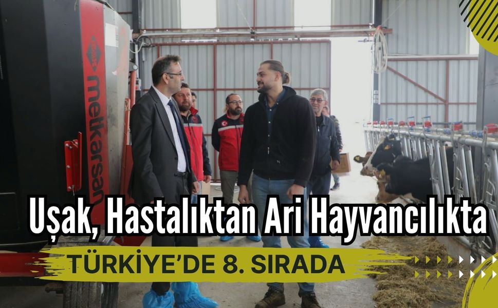 Uşak, Hastalıktan Ari Hayvancılıkta Türkiye’de 8. Sırada