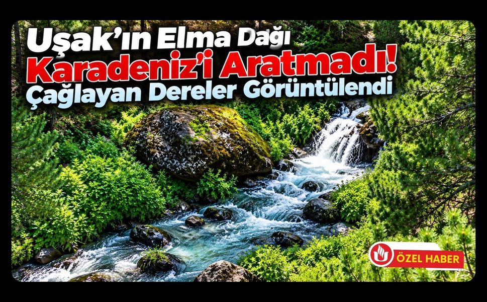 Uşak’ın Elma Dağı Karadeniz’i Aratmadı! Çağlayan Dereler Görüntülendi