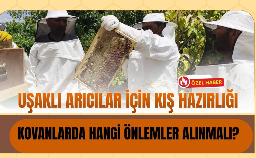 Uşaklı Arıcılar İçin Kış Hazırlığı: Kovanlarda Hangi Önlemler Alınmalı?