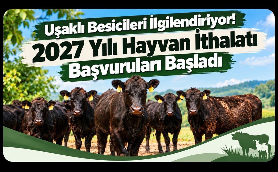 Uşaklı Besicileri İlgilendiriyor! 2027 Yılı Hayvan İthalatı Başvuruları Başladı
