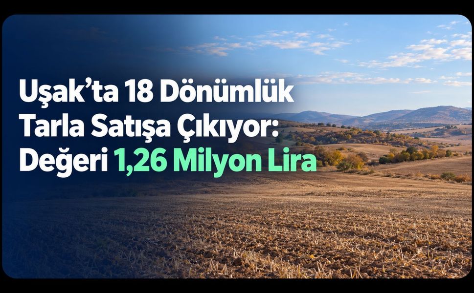 Uşak’ta 18 Dönümlük Tarla Satışa Çıkıyor: Değeri 1,26 Milyon Lira