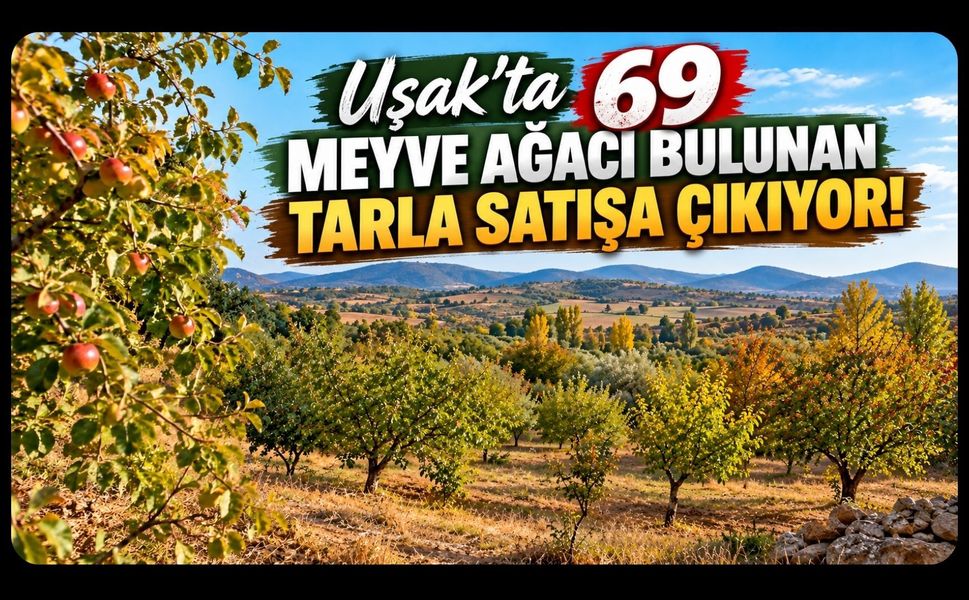 Uşak'ta 69 Meyve Ağacı Bulunan Tarla Satışa Çıkıyor!