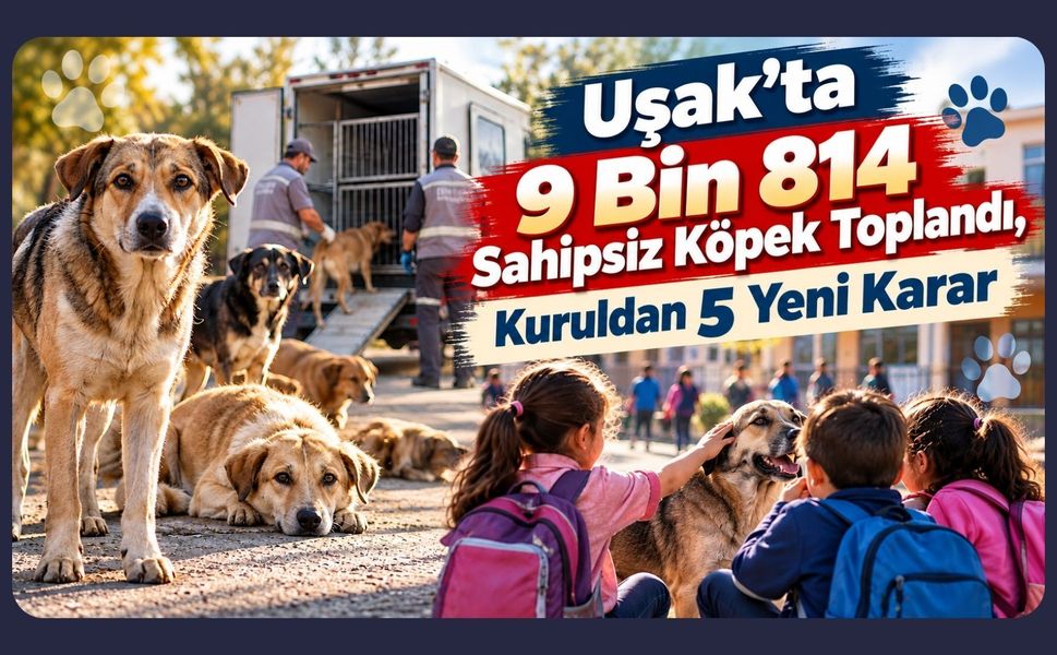 Uşak’ta 9 Bin 814 Sahipsiz Köpek Toplandı, Kuruldan 5 Yeni Karar
