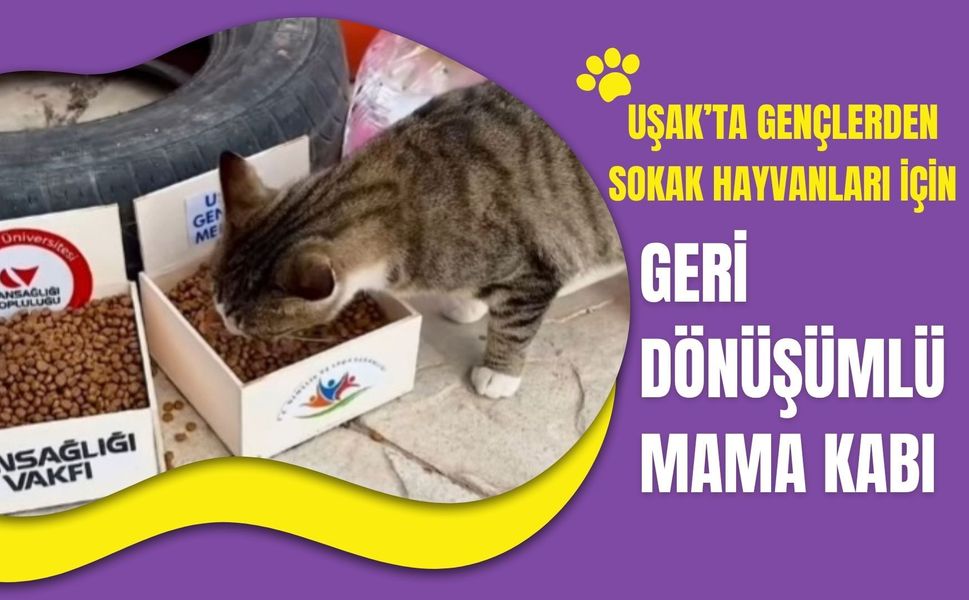 Uşak’ta Gençlerden Sokak Hayvanları İçin Geri Dönüşümlü Mama Kabı