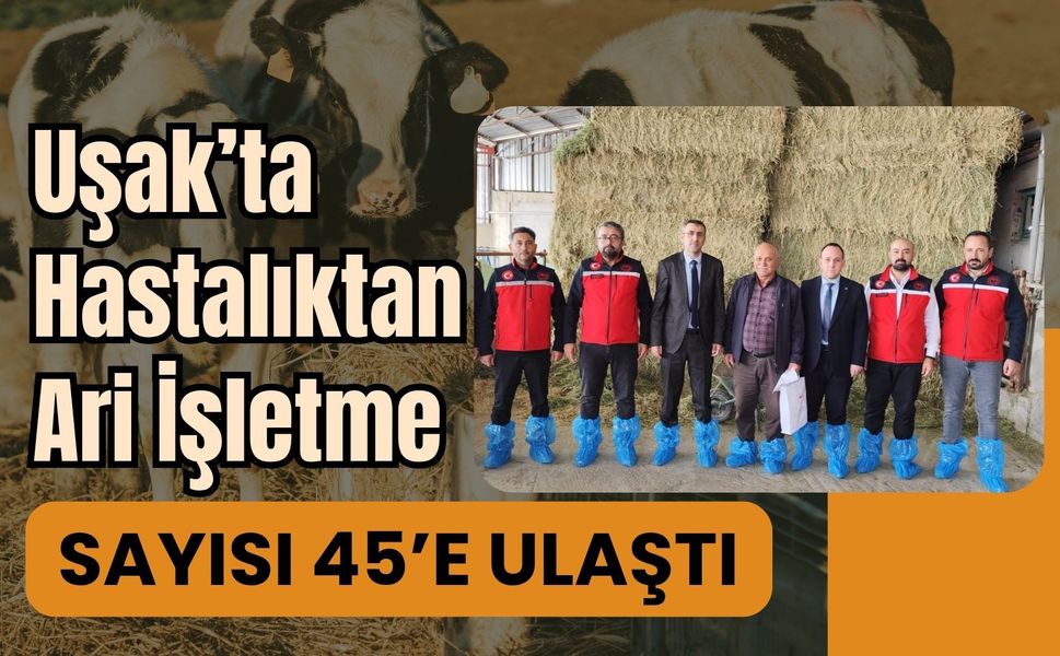 Uşak’ta Hastalıktan Ari İşletme Sayısı 45’e Ulaştı