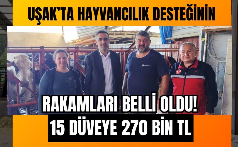 Uşak’ta Hayvancılık Desteğinin Rakamları Belli Oldu! 15 Düveye 270 Bin TL