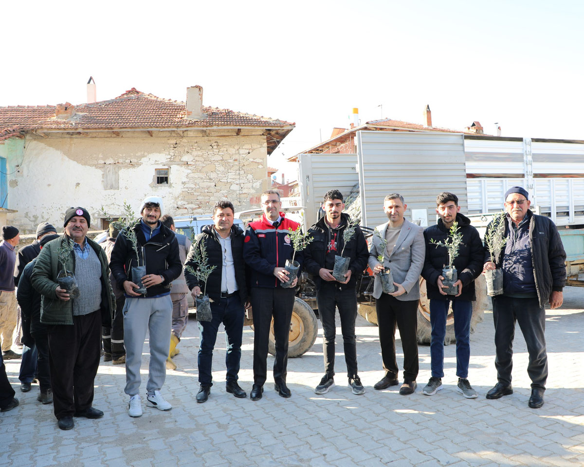 Fidan Dağıtım