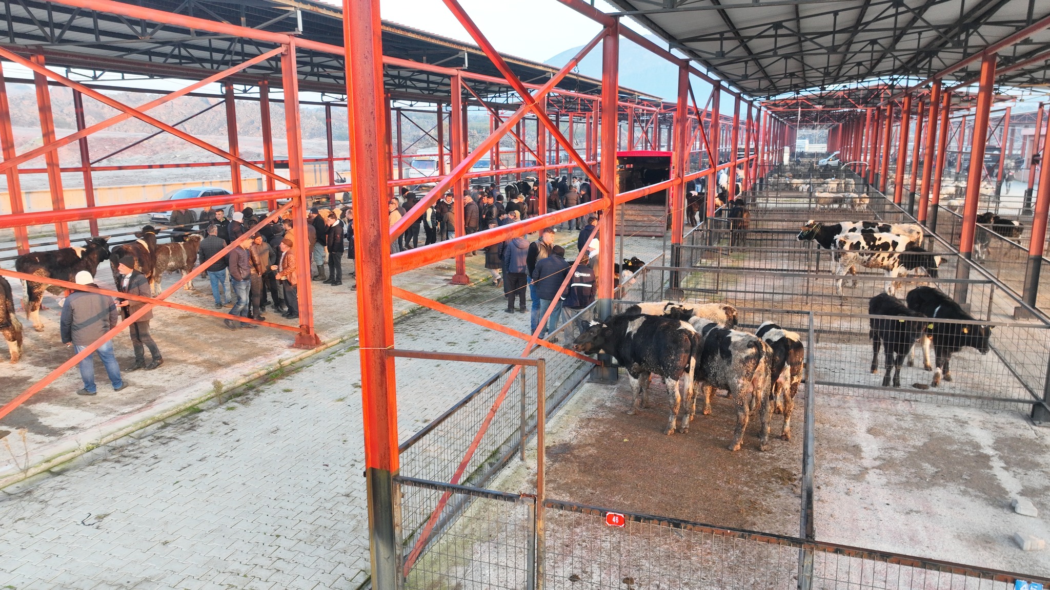 Hayvan Pazarı (2)