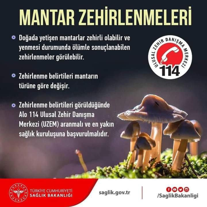 494852760 991472626505870 59067812652047680 N
