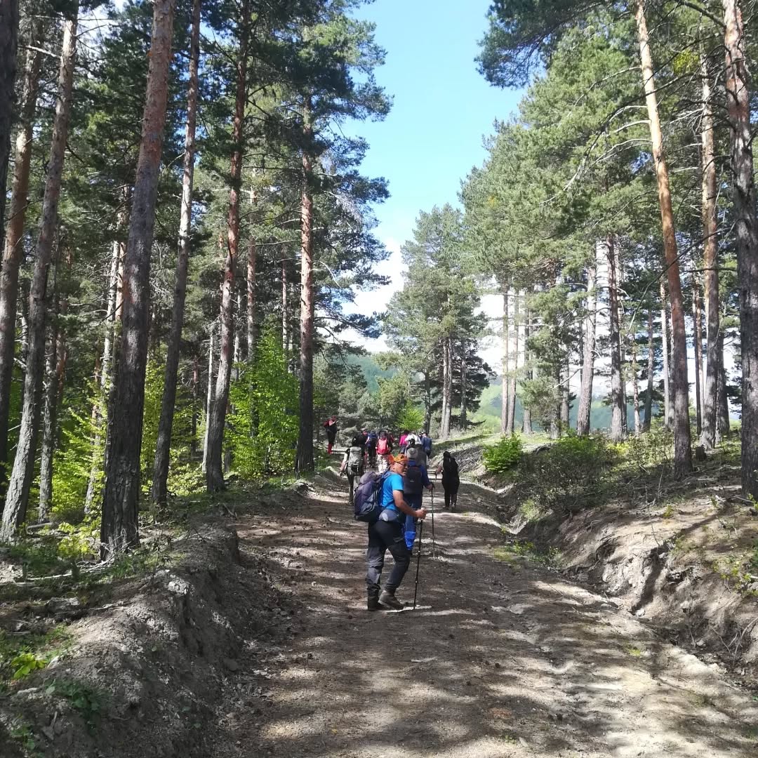 Doğa (6)