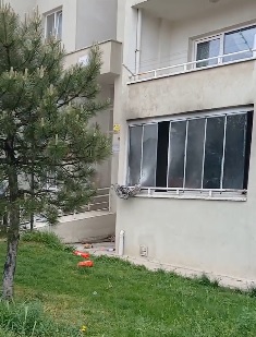 Ev