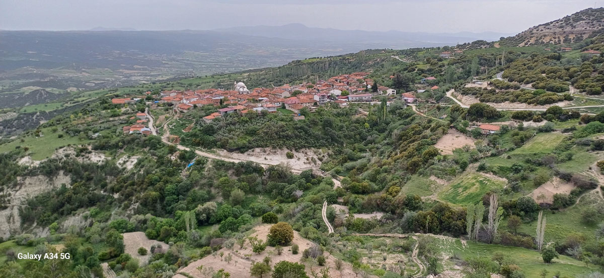 Haşhaş (3)3