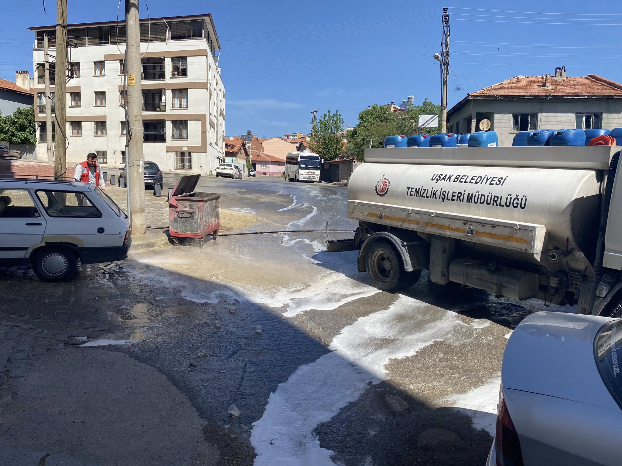 Karaağaç (2)